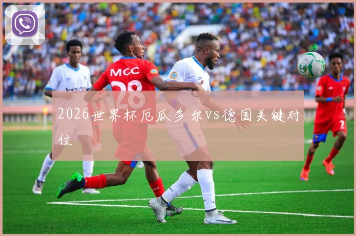 2026世界杯厄瓜多尔vs德国关键对位